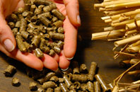 free Gembling biomass boiler quotes